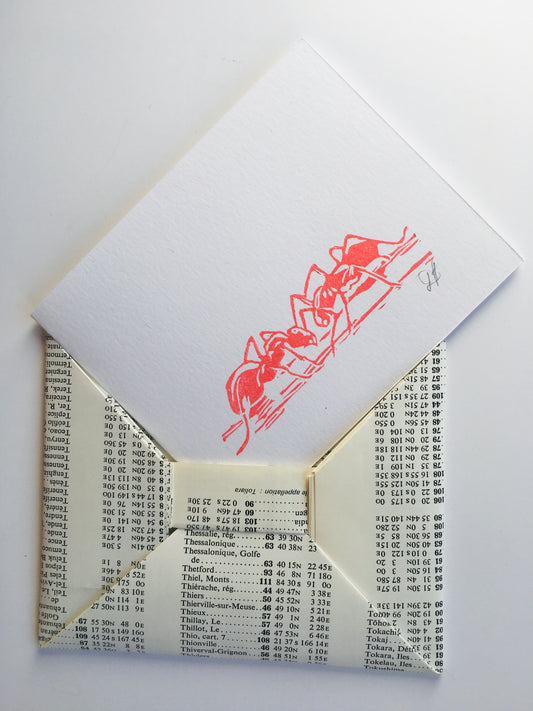 Fourmis - carte et enveloppe