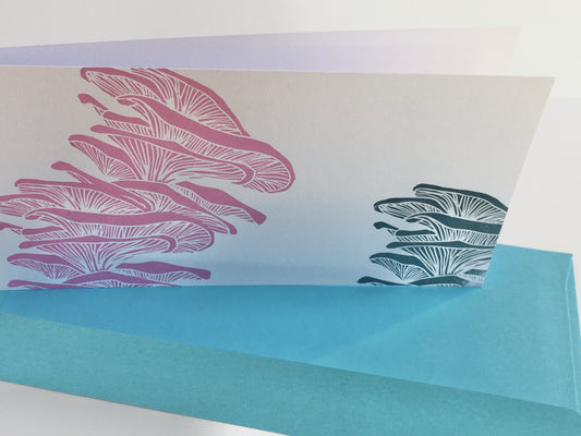 Pleurottes - carte et enveloppe