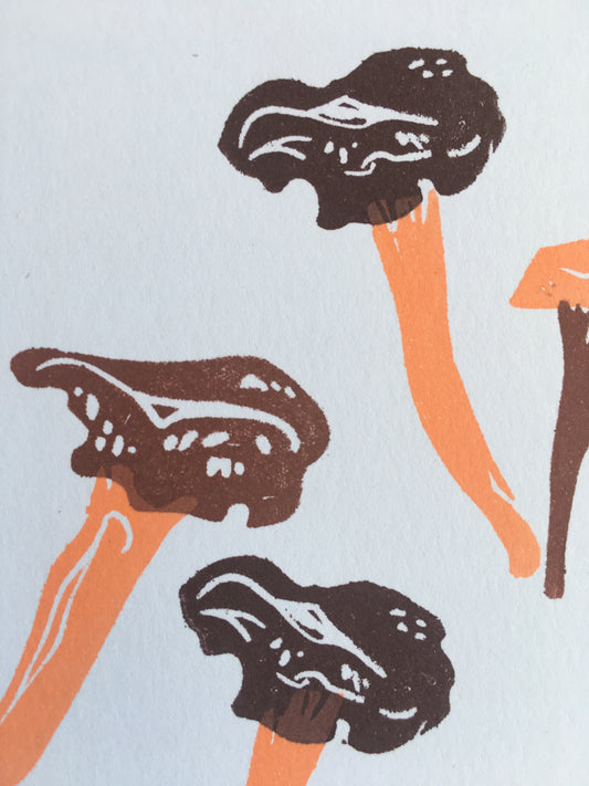 Trompette de la mort - carte et enveloppe